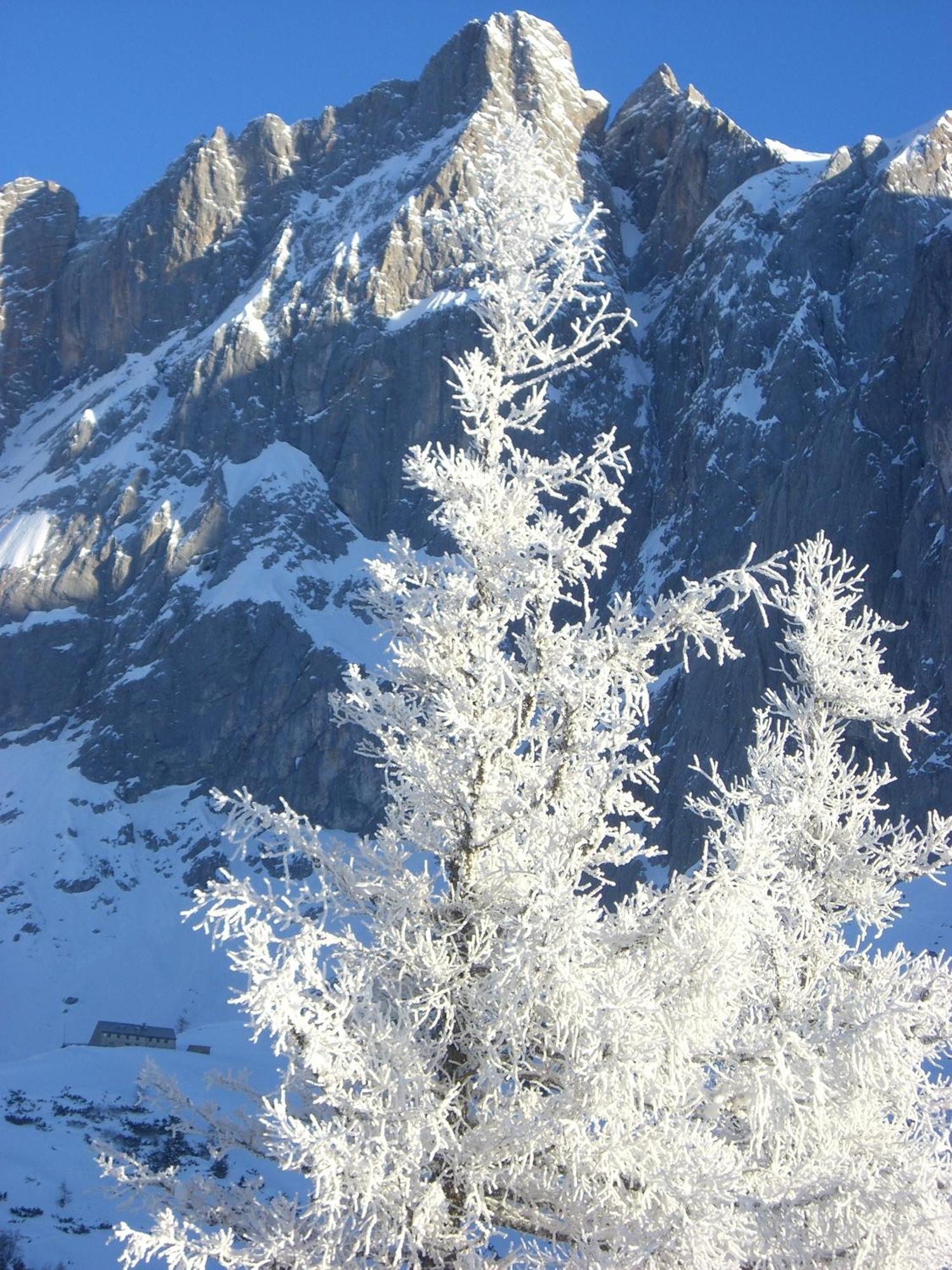 Готель Gasthof Hunerkogel Рамзау-ам-Дахштайн Екстер'єр фото